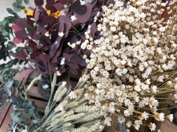 Eine Nahaufnahme von getrockneten Blumen, darunter weiße Blüten und lila Eukalyptus, die in rustikalen Bündeln angeordnet sind.